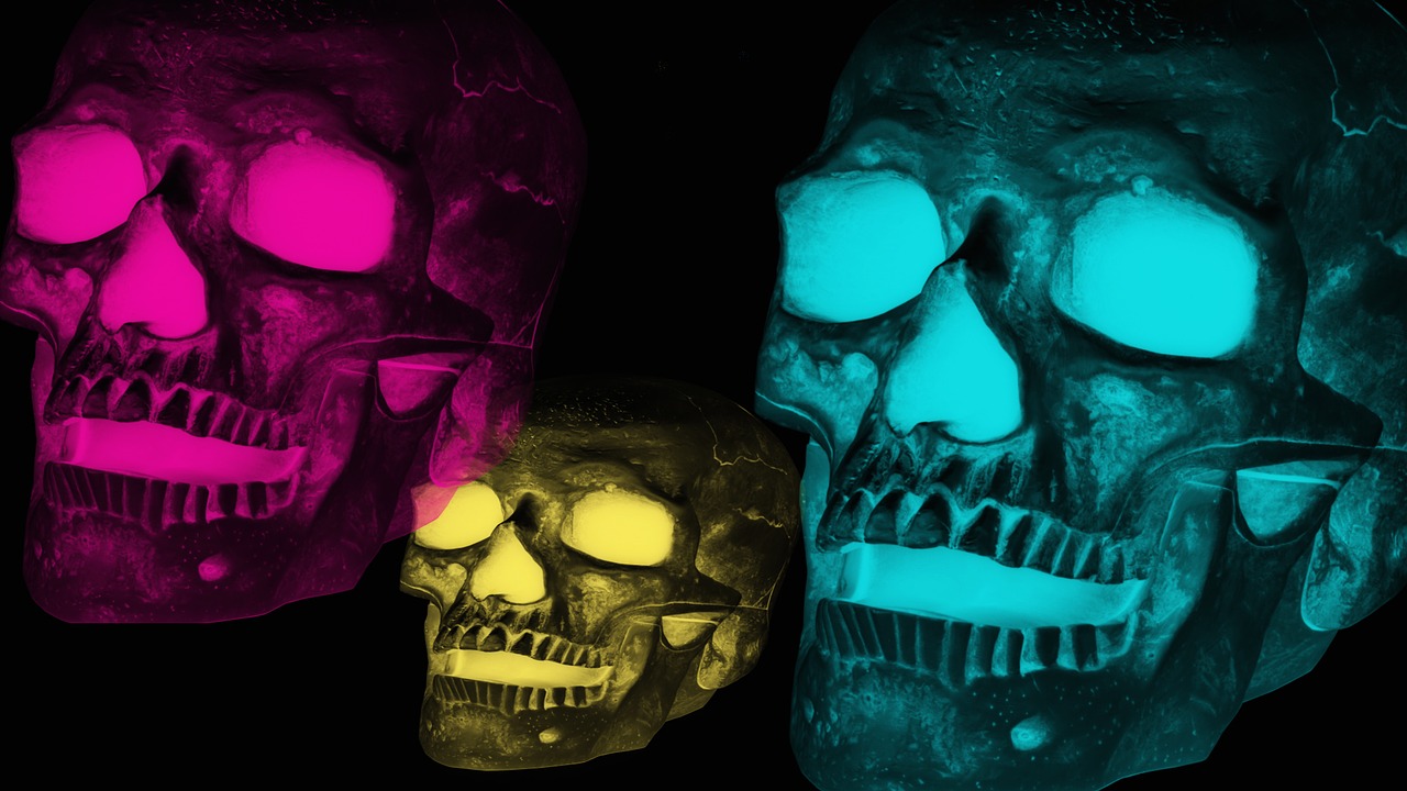 skulls heads art free photo