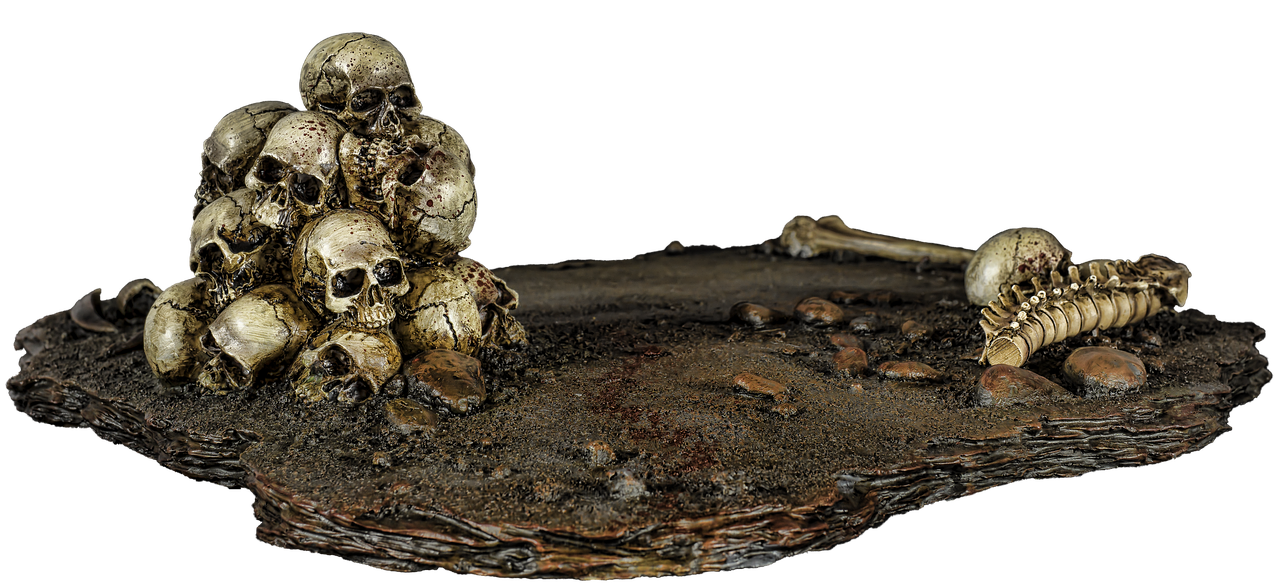 skulls death creepy free photo