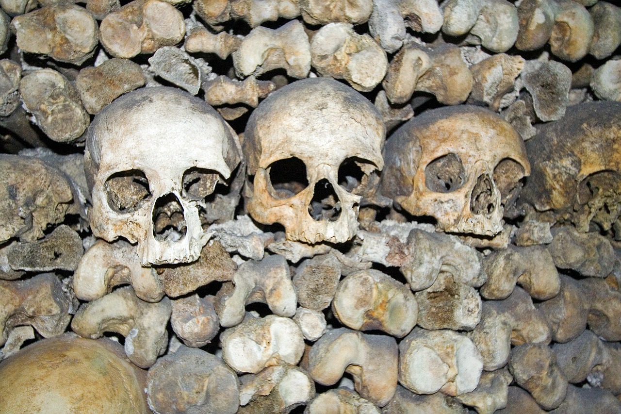 skulls death bone free photo
