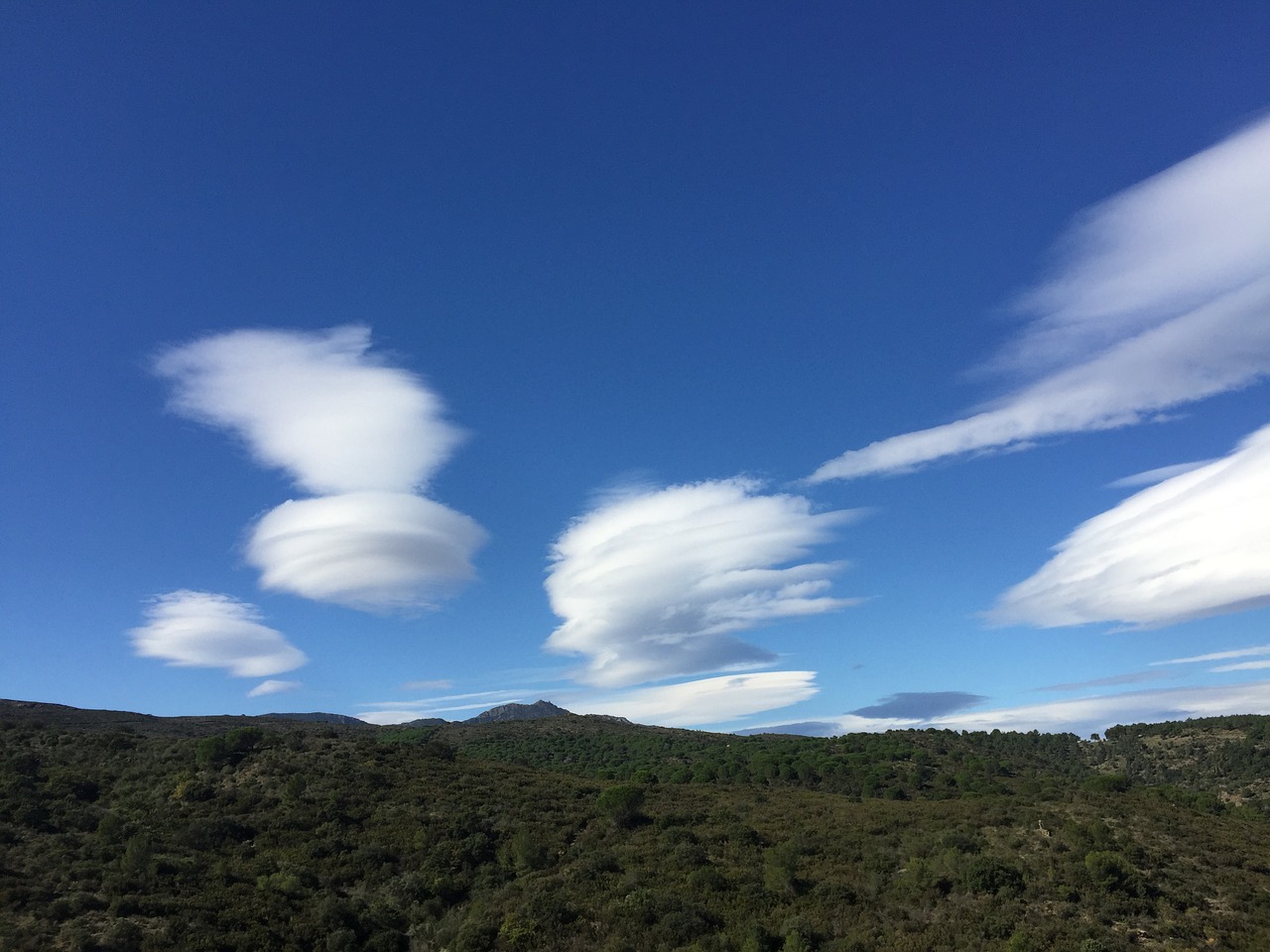 sky blue clouds free photo