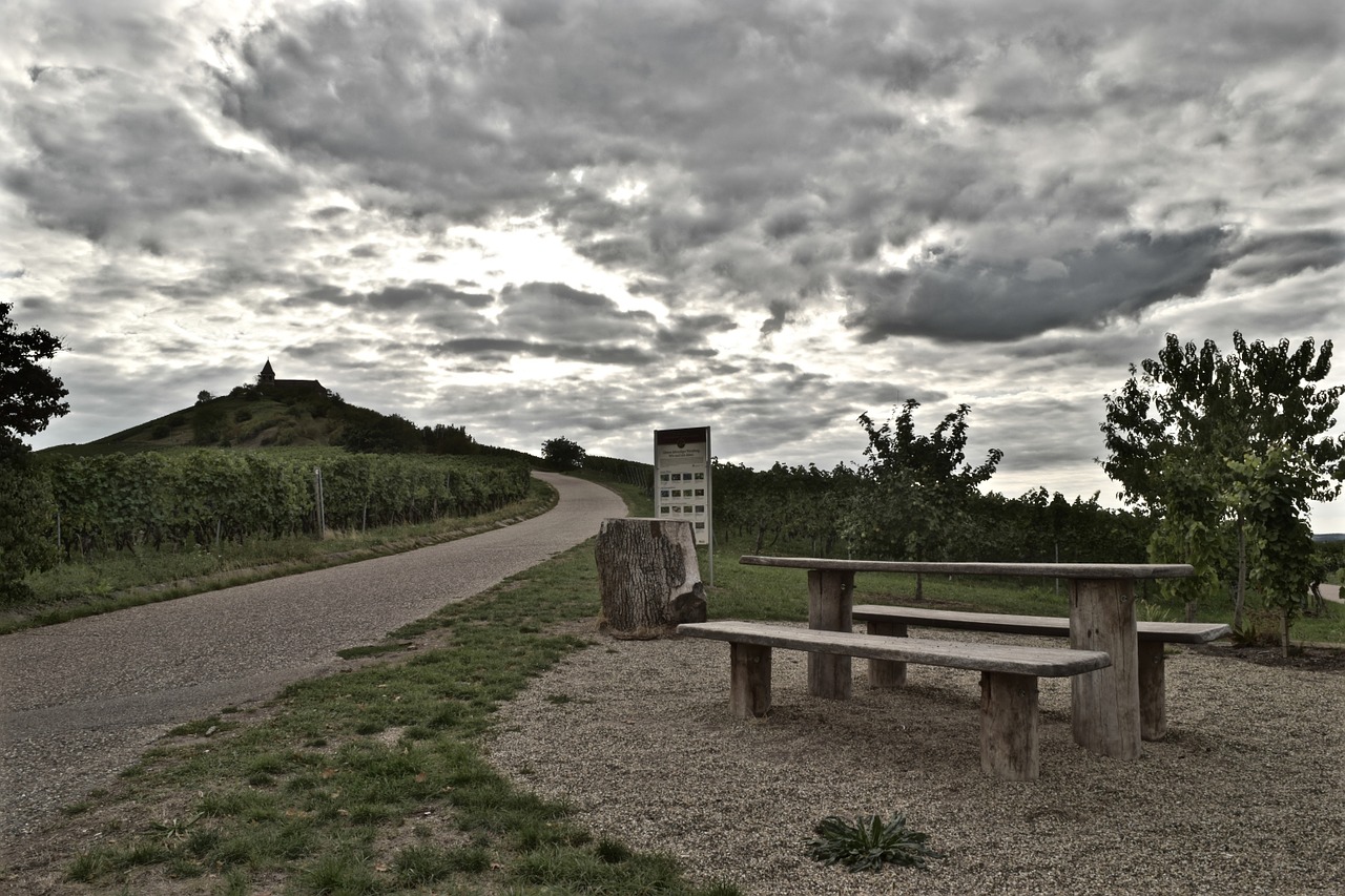 sky storm vineyard free photo