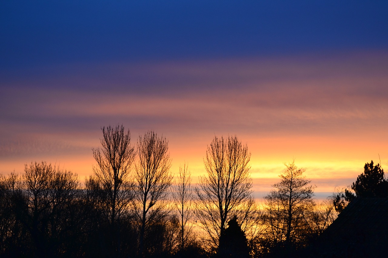 sky sunrise tree free photo