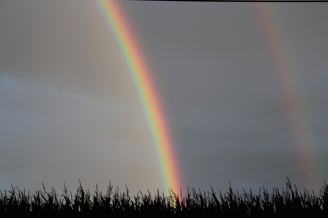 sky storm rain free photo