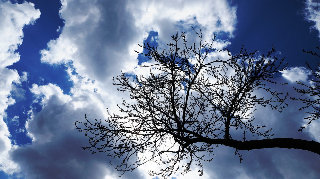 sky clouds blue free photo