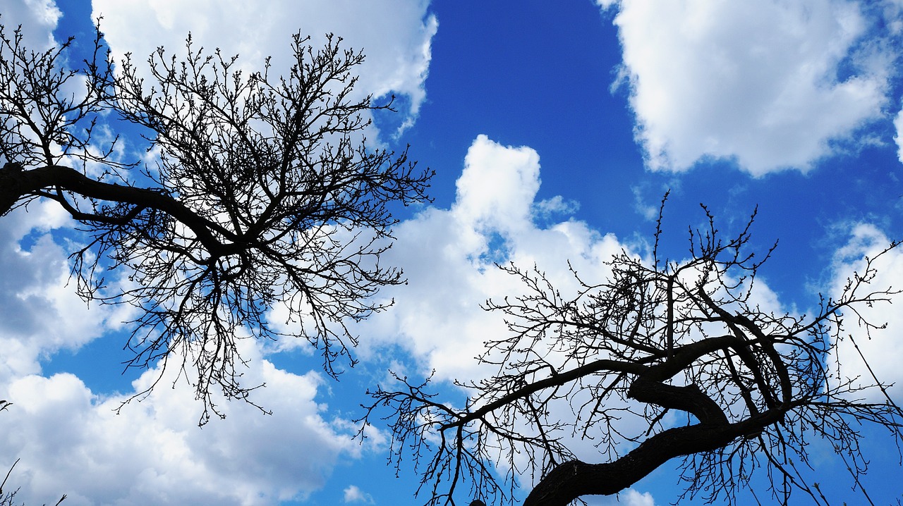 sky clouds blue free photo