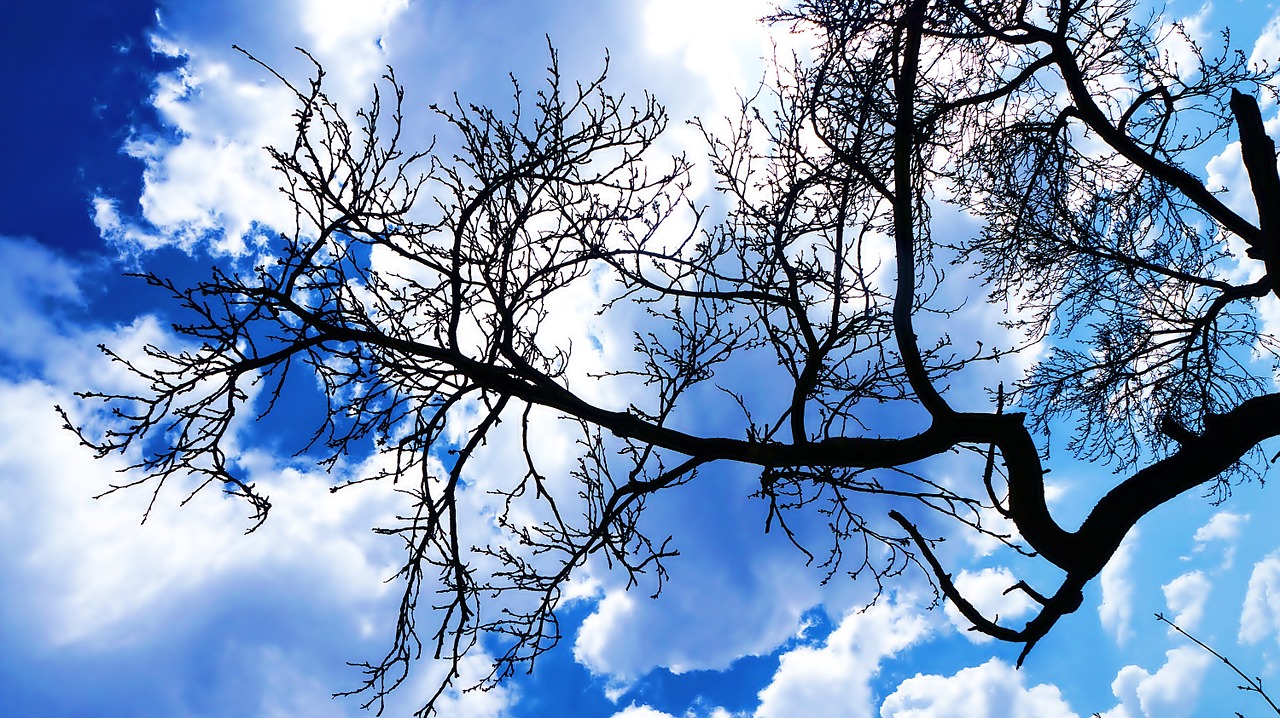 sky clouds blue free photo