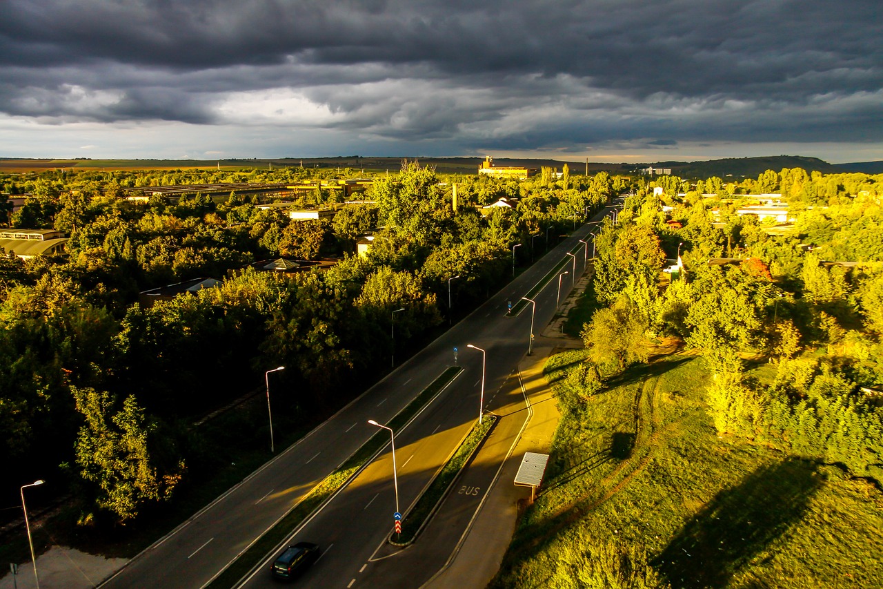 sky road trees free photo