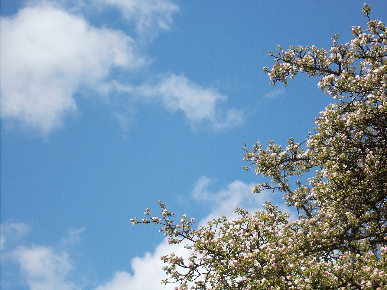 sky clouds clouds form free photo