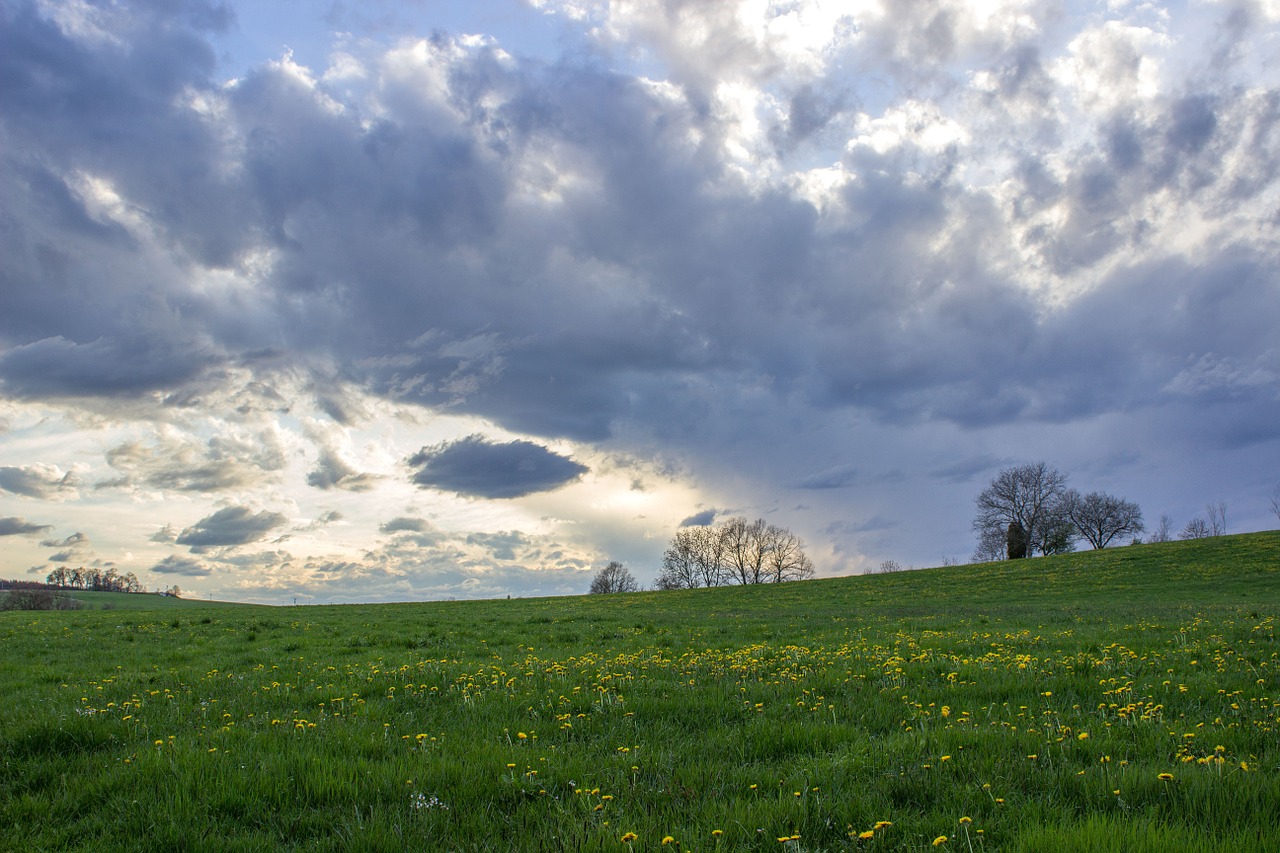 sky clouds meadow free photo