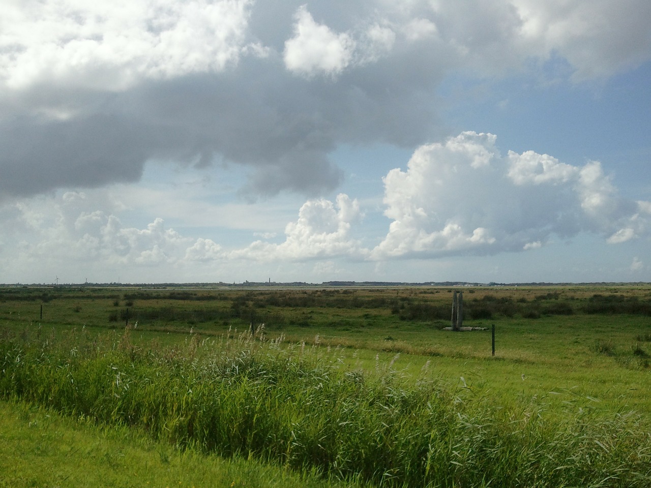 sky meadow nature free photo