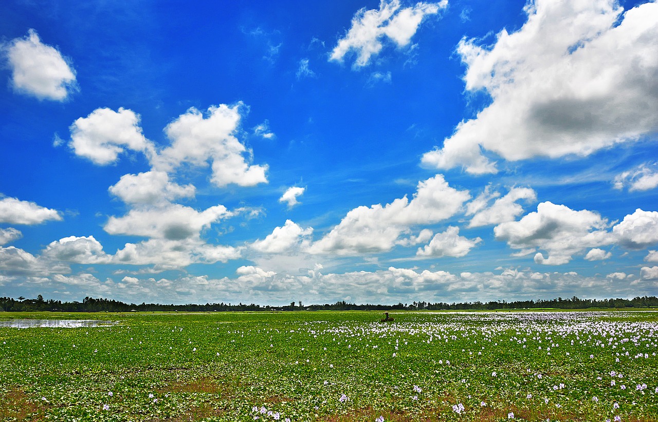 sky blue clouds free photo