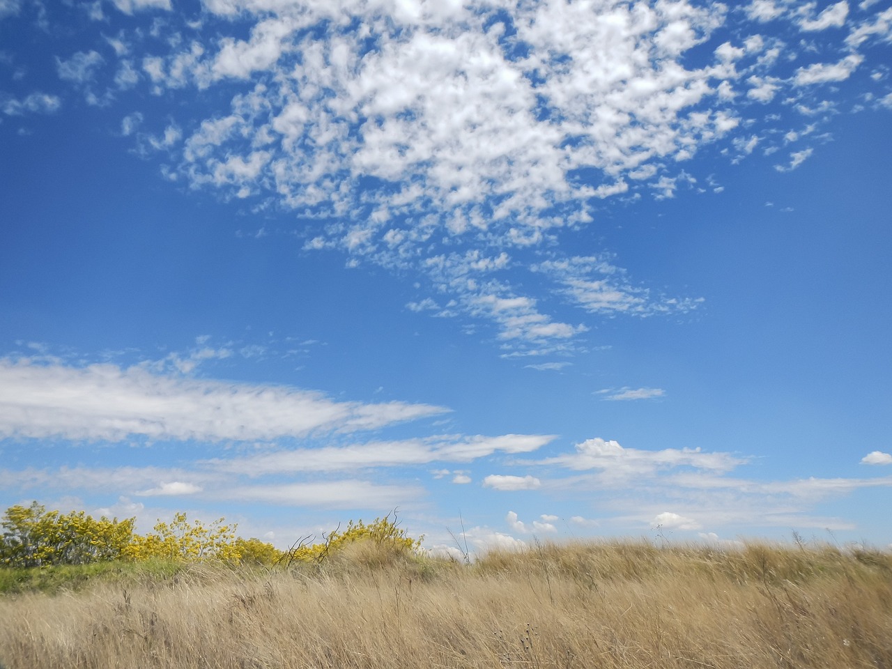 sky clouds field free photo