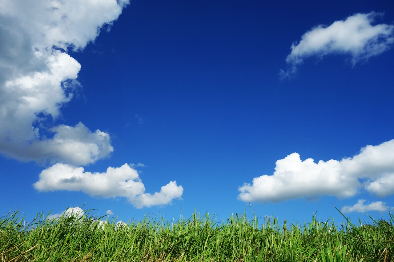 sky clouds grass free photo