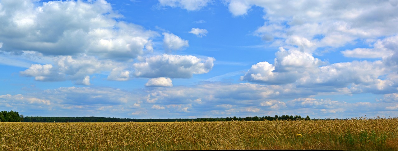 sky clouds panorama free photo