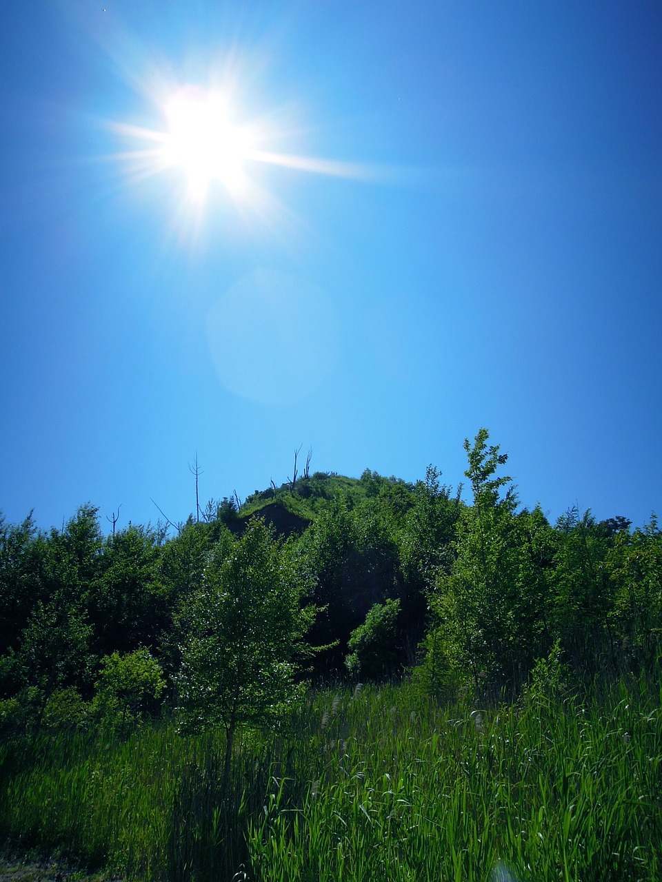 sky nature summer free photo