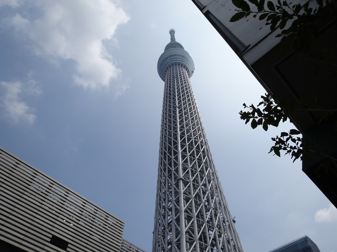 tower tokyo high free photo