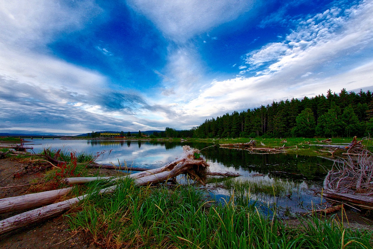 sky log clouds free photo