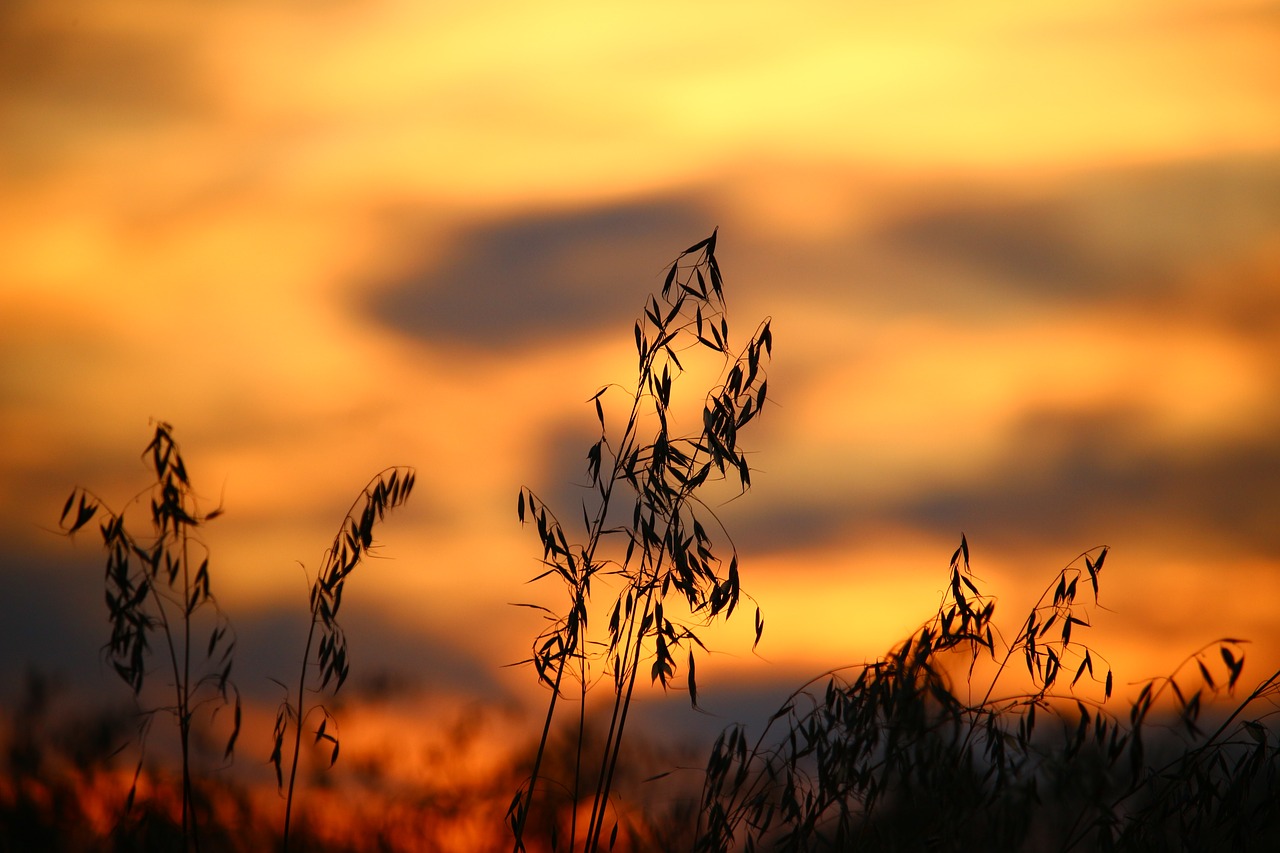 sky clouds afterglow free photo