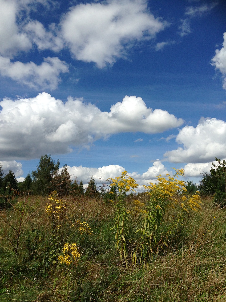 sky blue clouds free photo