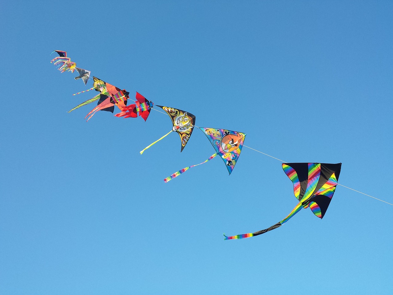 sky kites freedom free photo