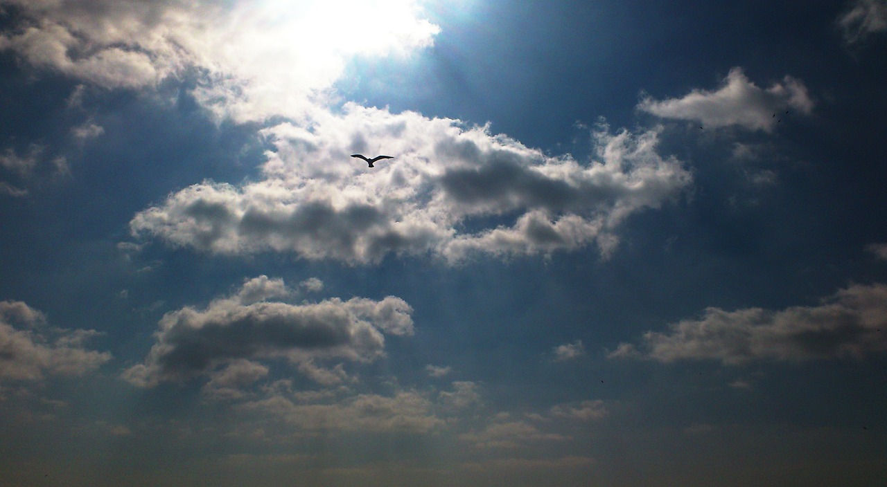 sky the sky clouds free photo