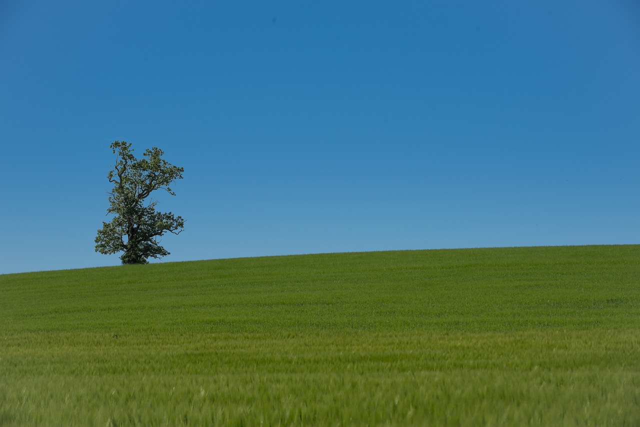 sky blue green free photo