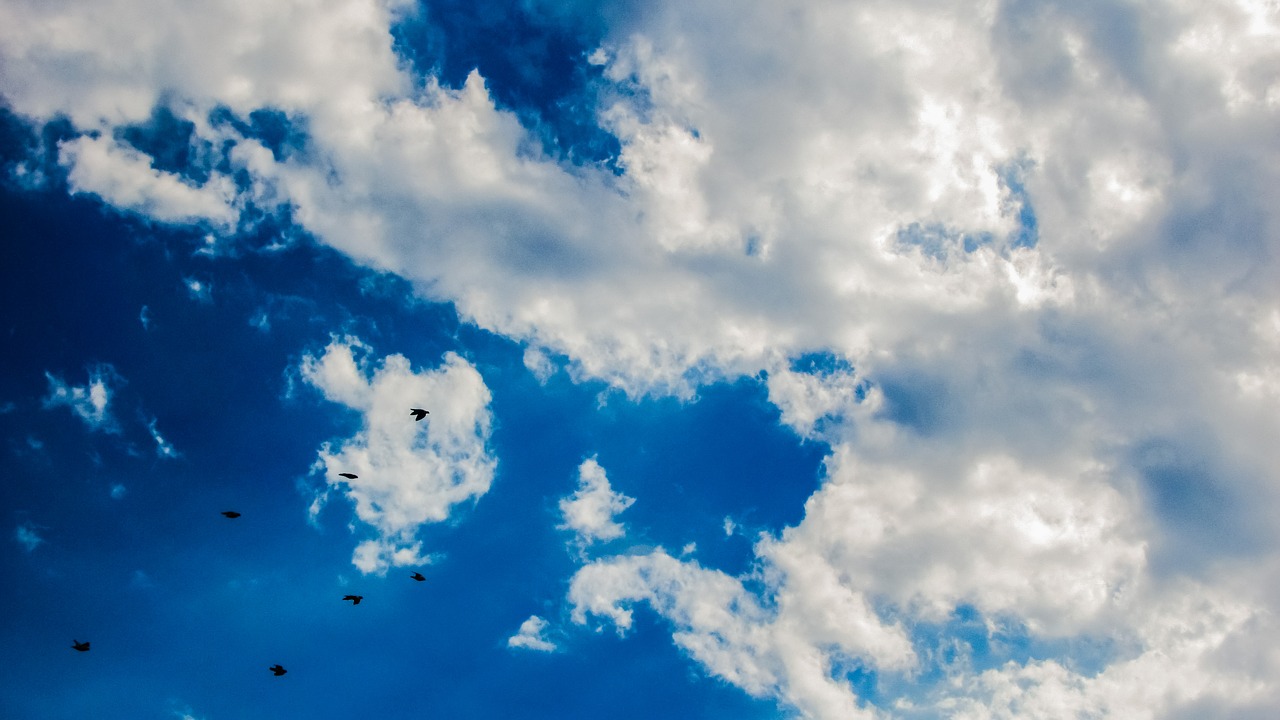 sky clouds birds free photo