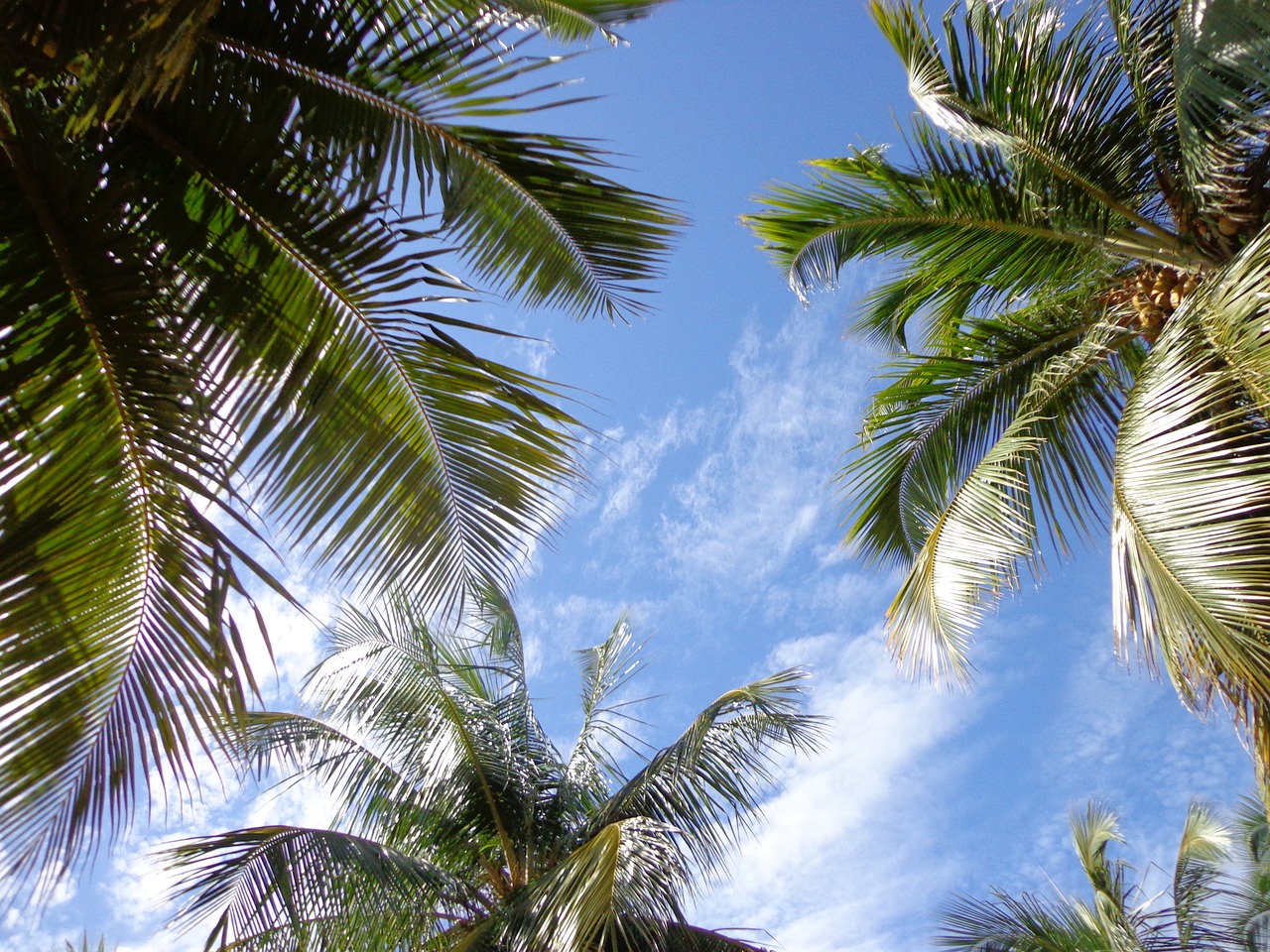 sky beach blue sky free photo