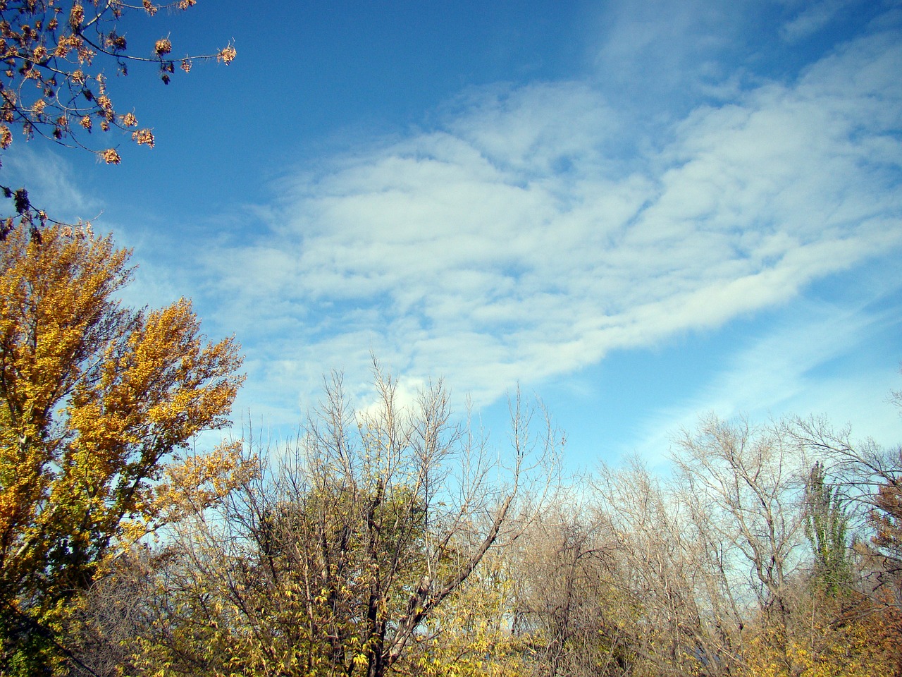 sky blue clouds free photo