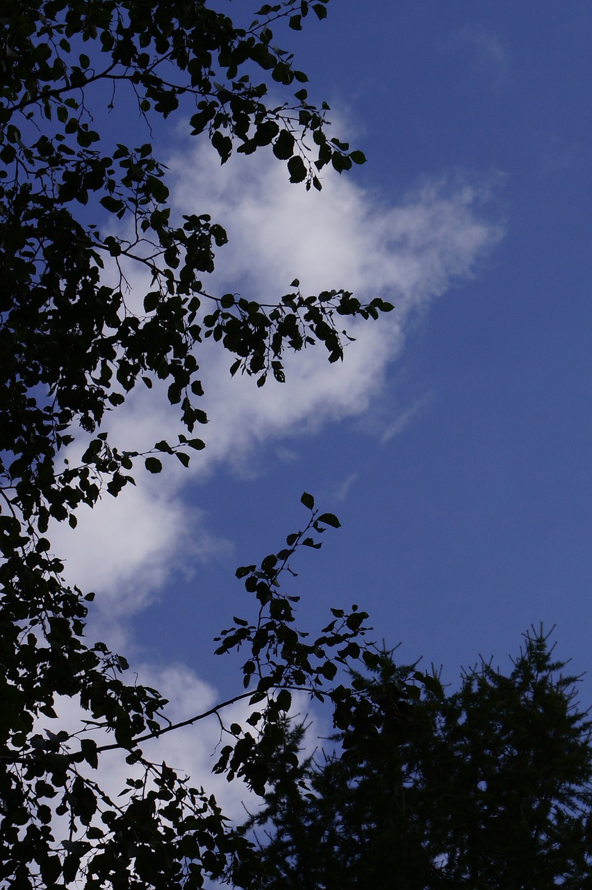 sky cloud blue free photo