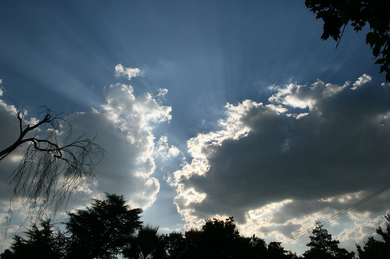 sky clouds foliage silhouette free photo