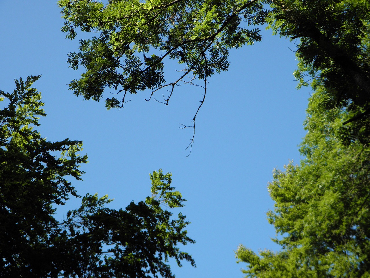 sky blue sunbeam free photo