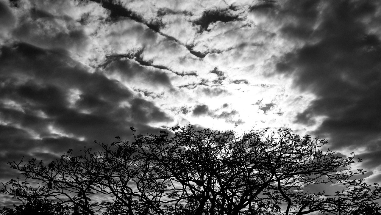sky trees clouds free photo