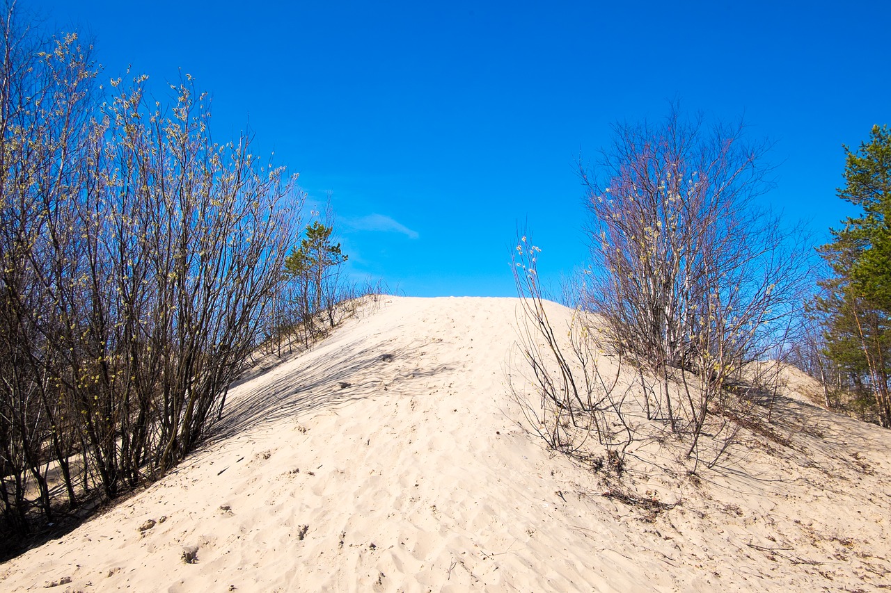 sky sand dune free photo