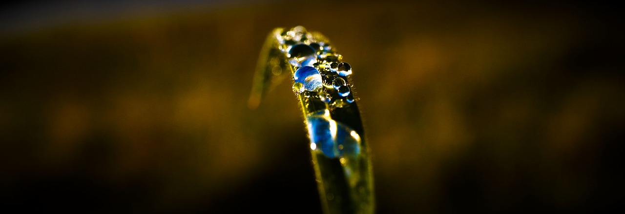 sky grass reflection free photo