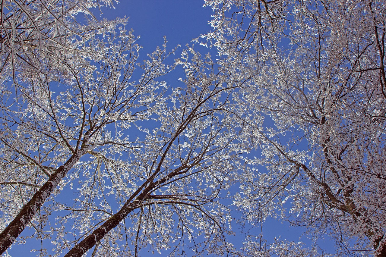 sky snow aesthetic free photo