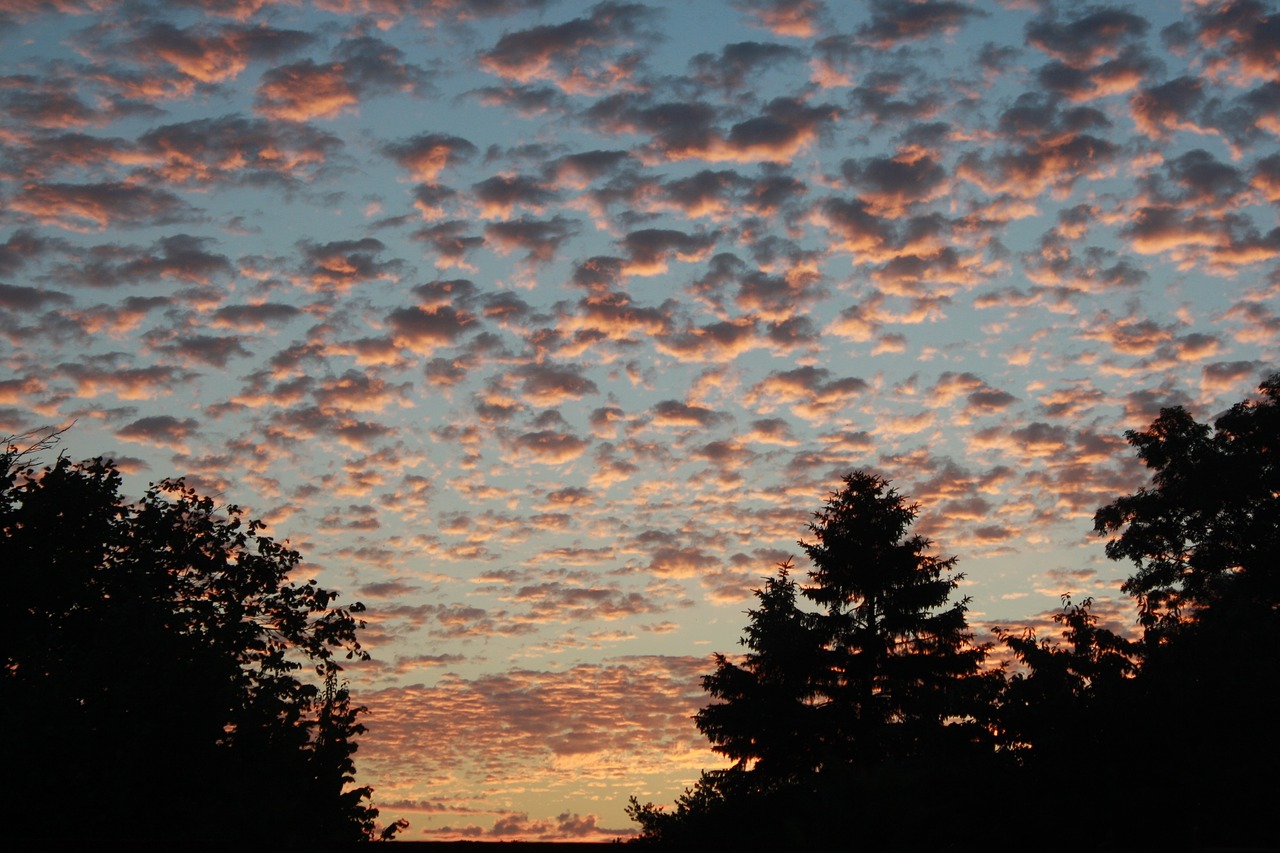 sky evening clouds free photo