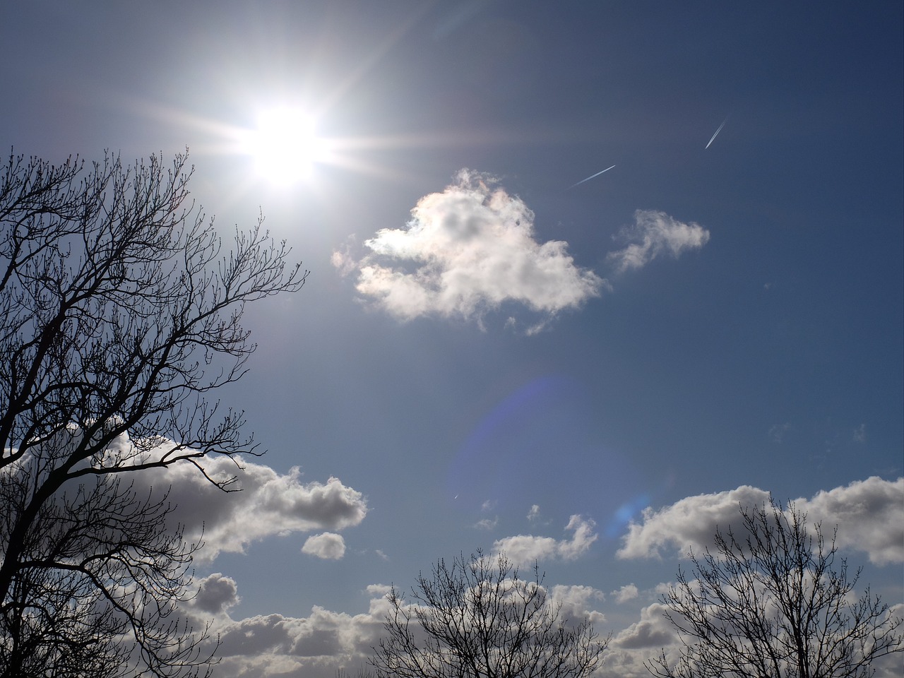 sky sun tree free photo