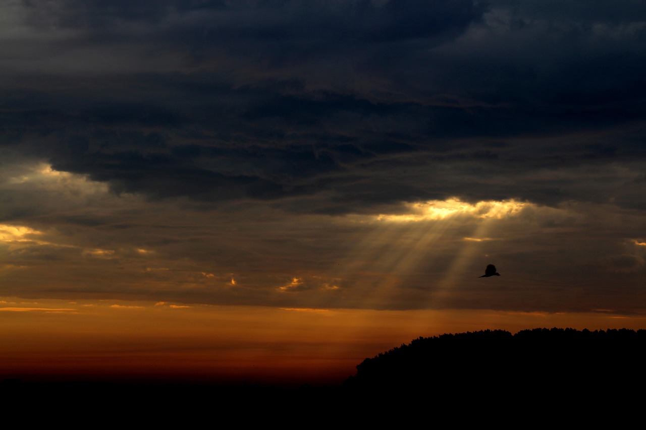 sky cloud twilight free photo