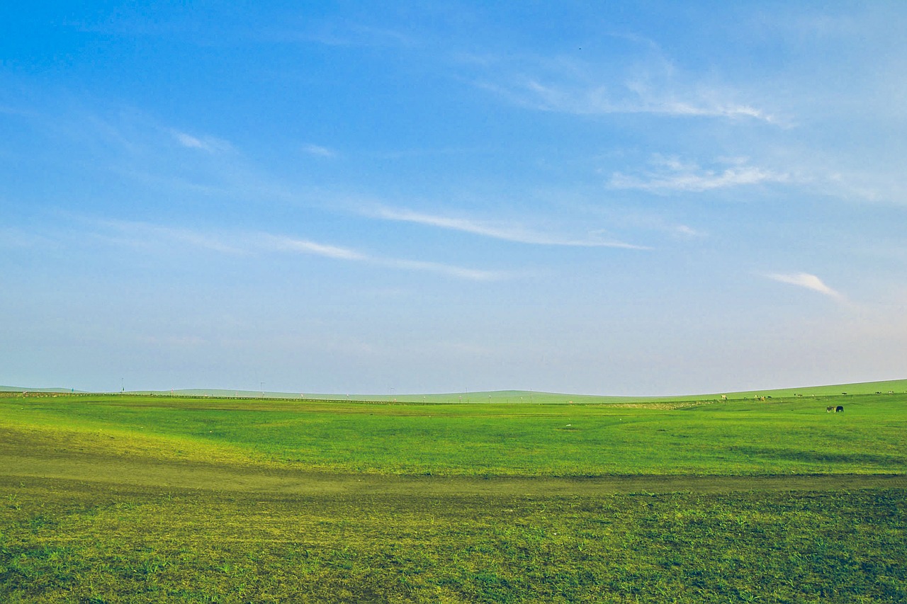 sky blue nature free photo