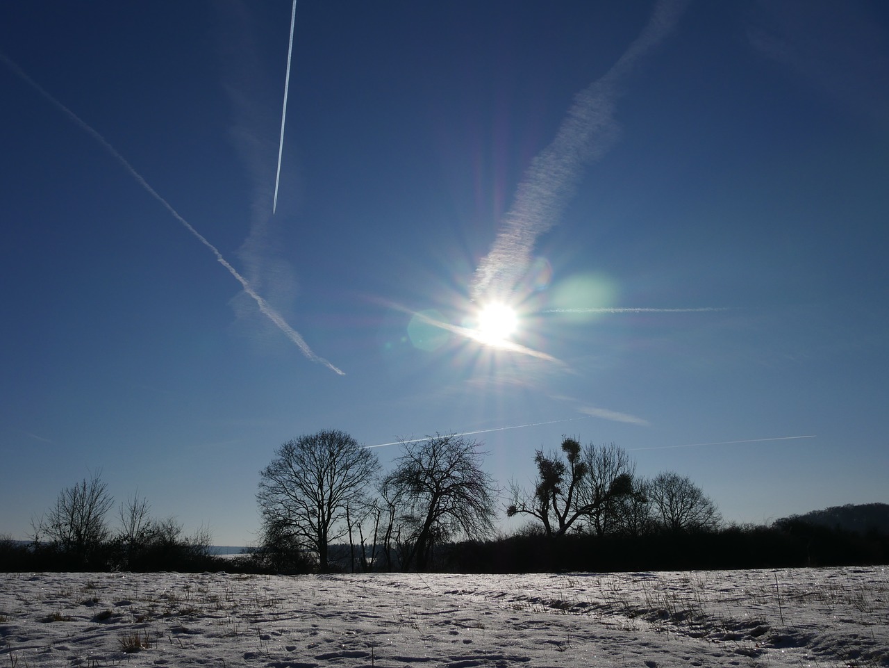 sky trees landscape free photo