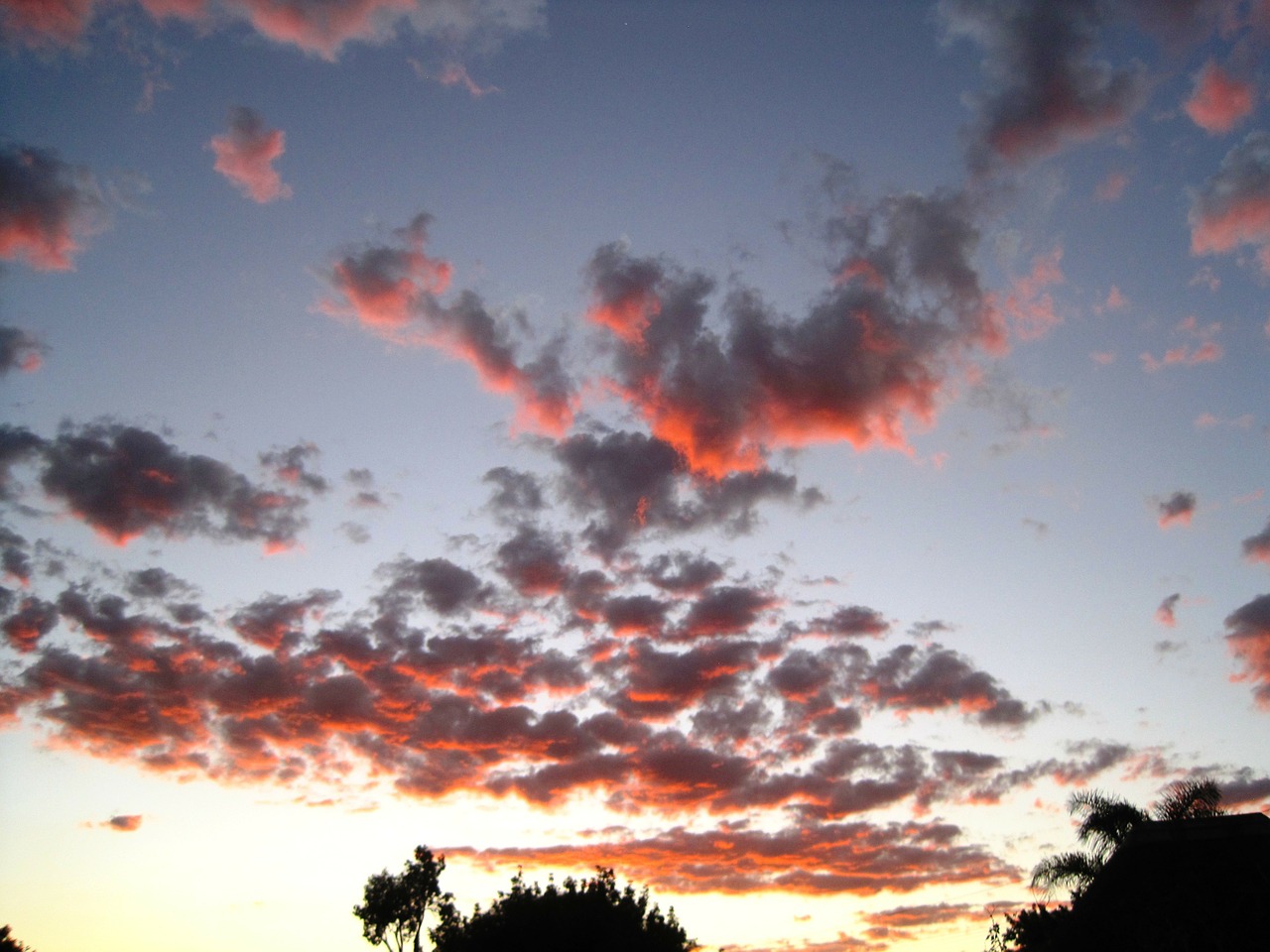 sky clouds scattered free photo