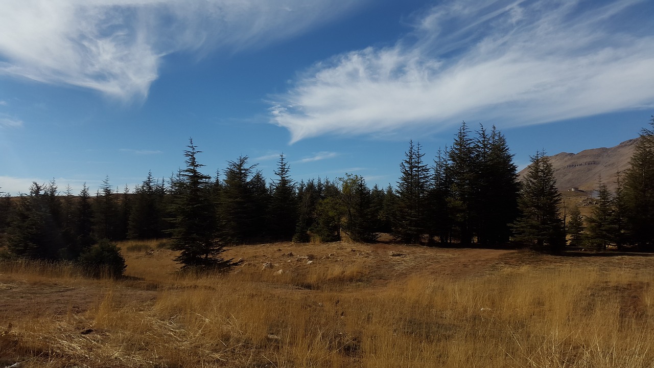 sky blue clouds free photo