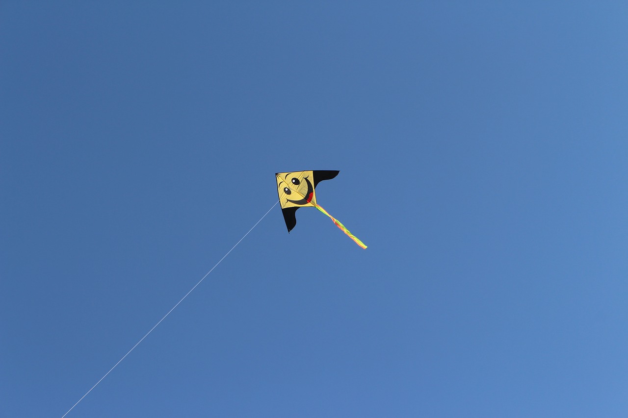 sky kite flying dragon free photo