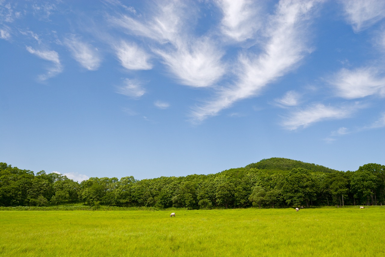 sky cloud blue sky free photo