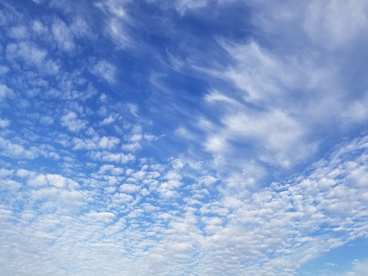 sky cloud blue free photo
