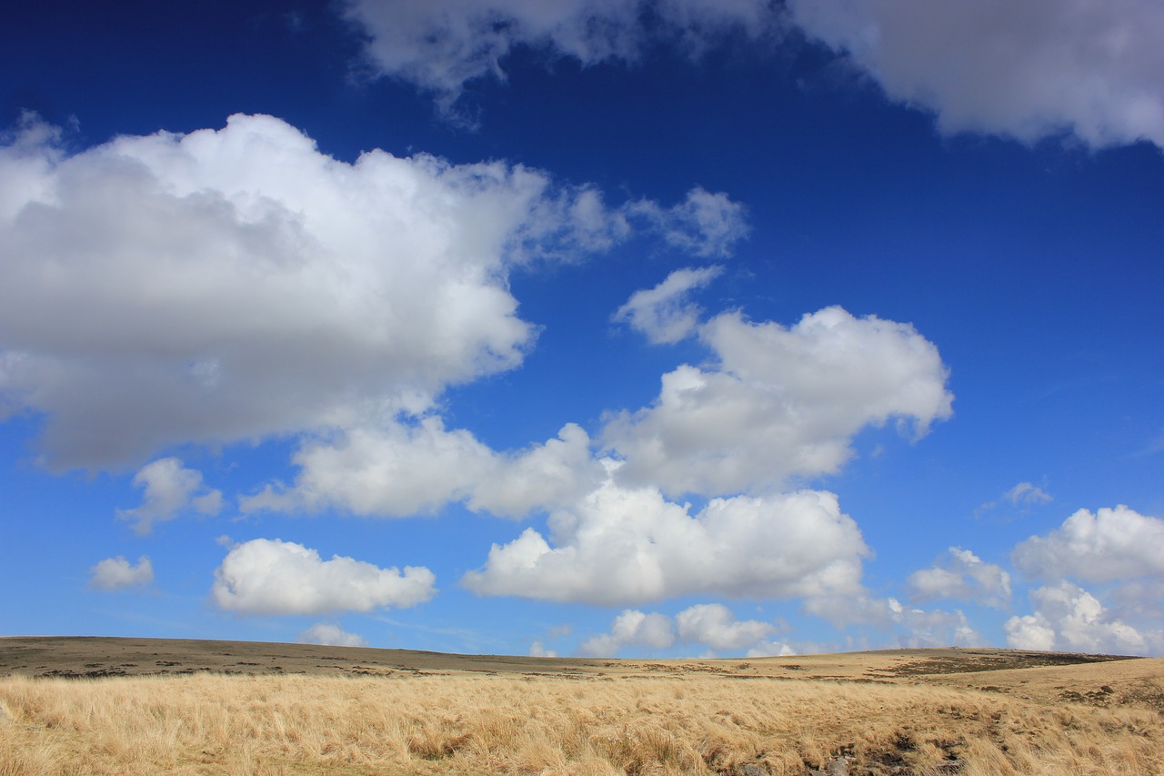 sky landscape grass free photo