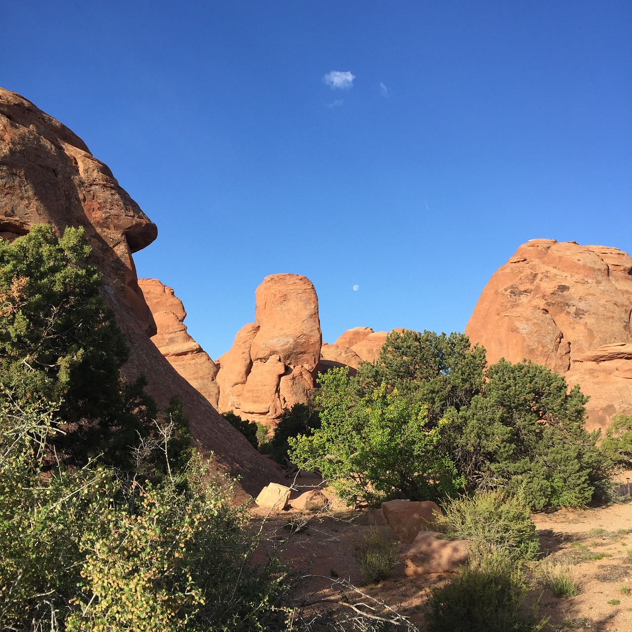 sky moon nature free photo