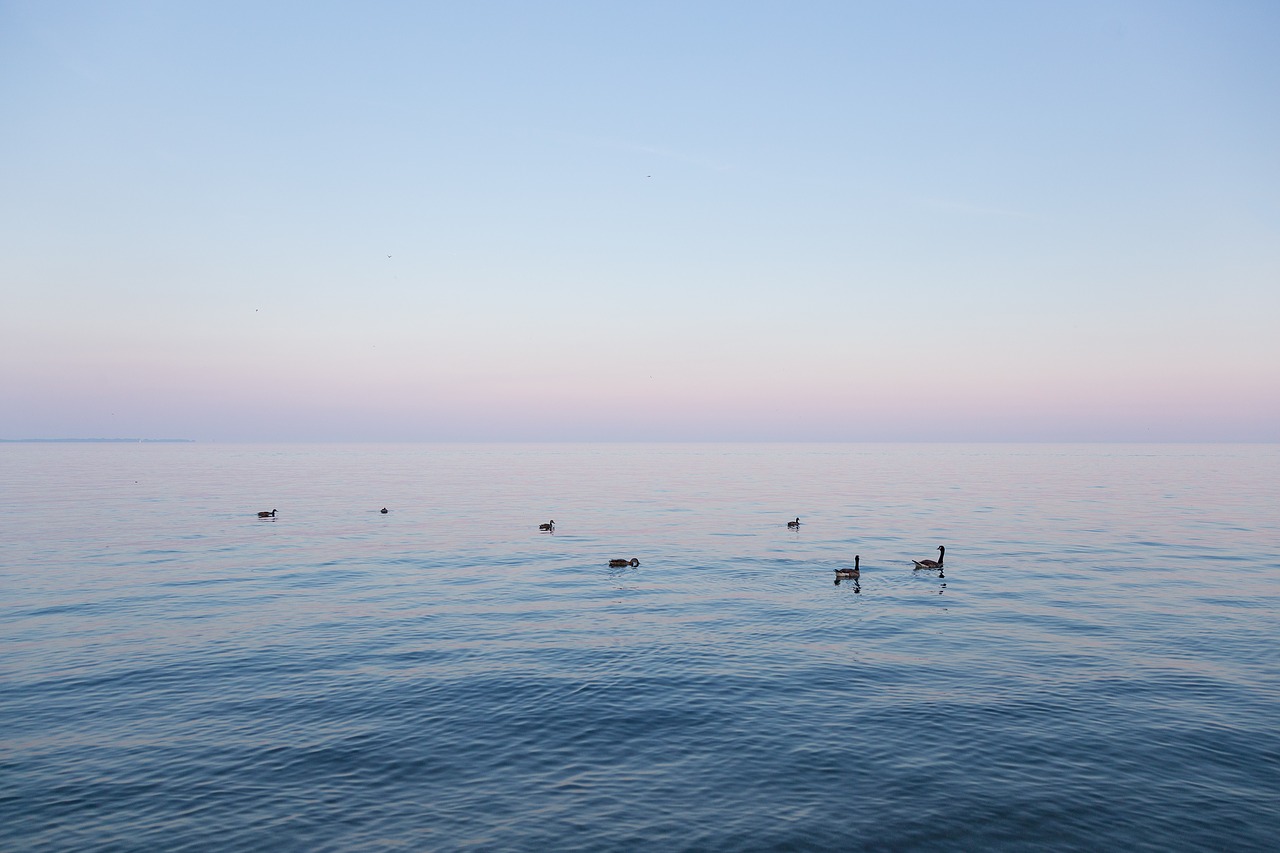 sky blue the scenery free photo