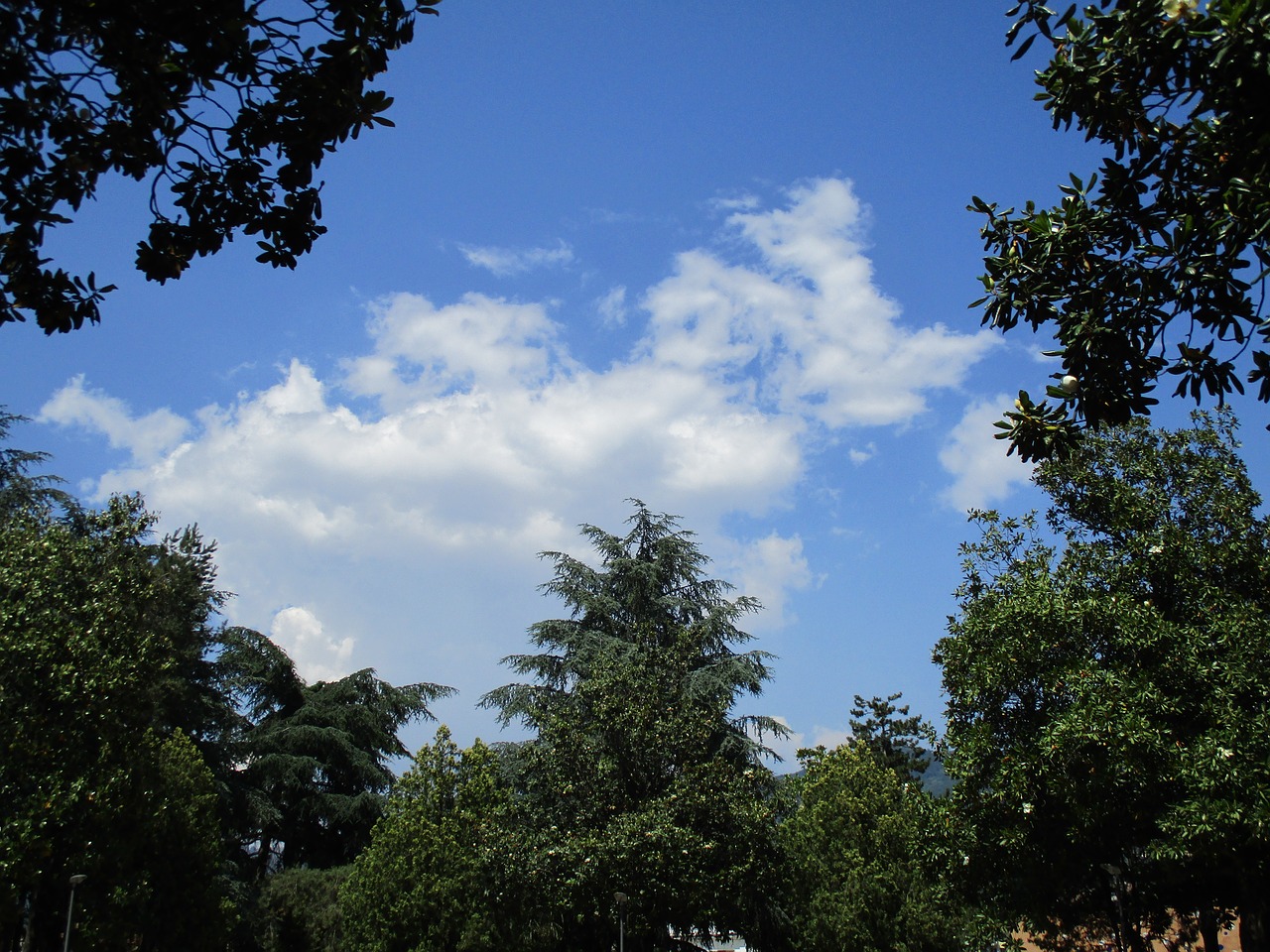 sky clouds blue free photo